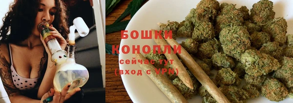 ГАЛЛЮЦИНОГЕННЫЕ ГРИБЫ Слюдянка