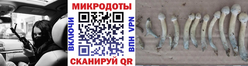 Псилоцибиновые грибы мицелий  Дрезна 